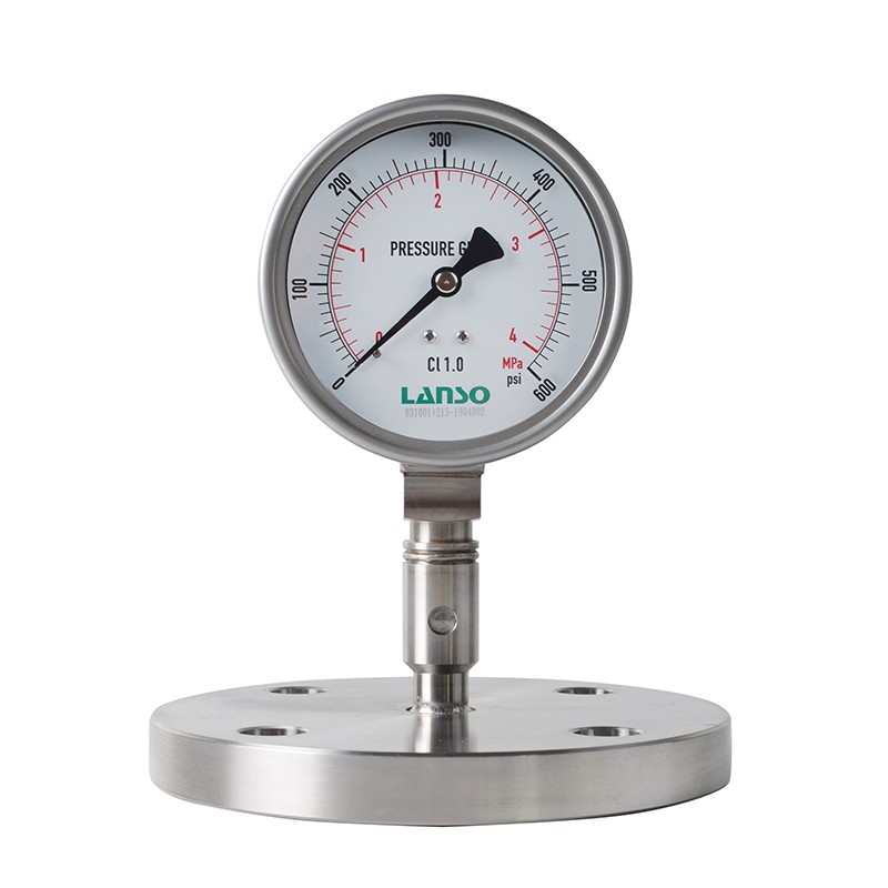 B32.ST+DS27 Flat-Flange Diaphragm Pressure Gauge