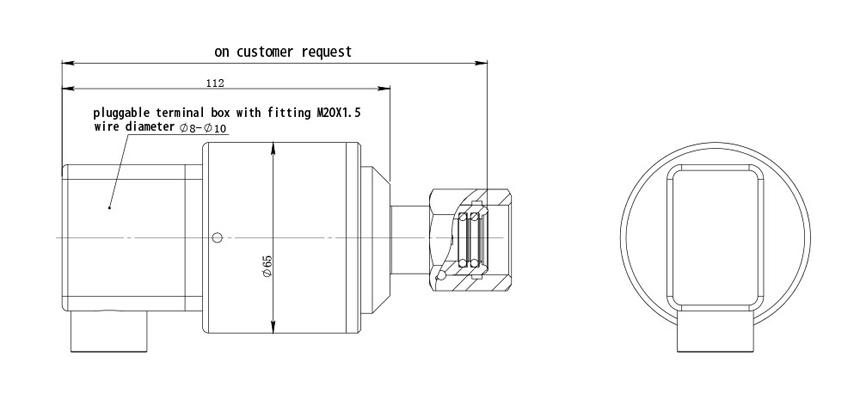 DT Density Transmitter