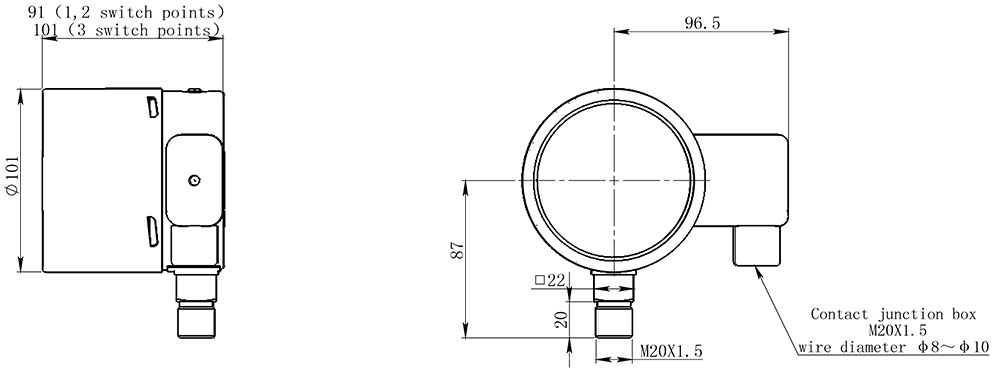 ZMJ100P Density Monitor