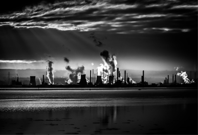 Petrochemicals